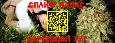 PSILOCYBIN Пушкино