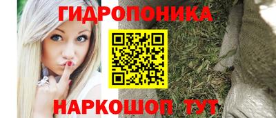 PSILOCYBIN Пушкино