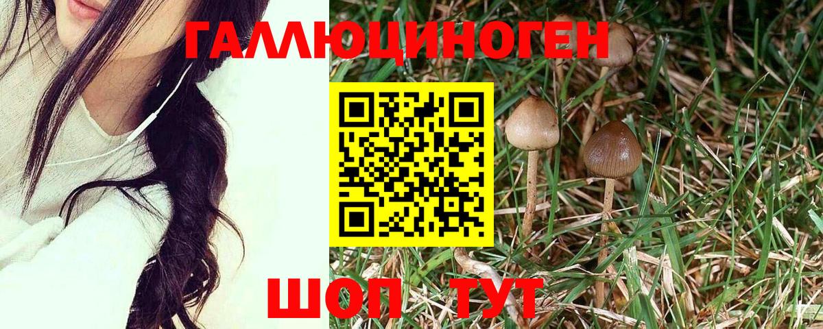 МАРИХУАНА  Вход с VPN  NBOMe  КОКАИН  ГАШИШ  Сургут  Меф кристаллы 