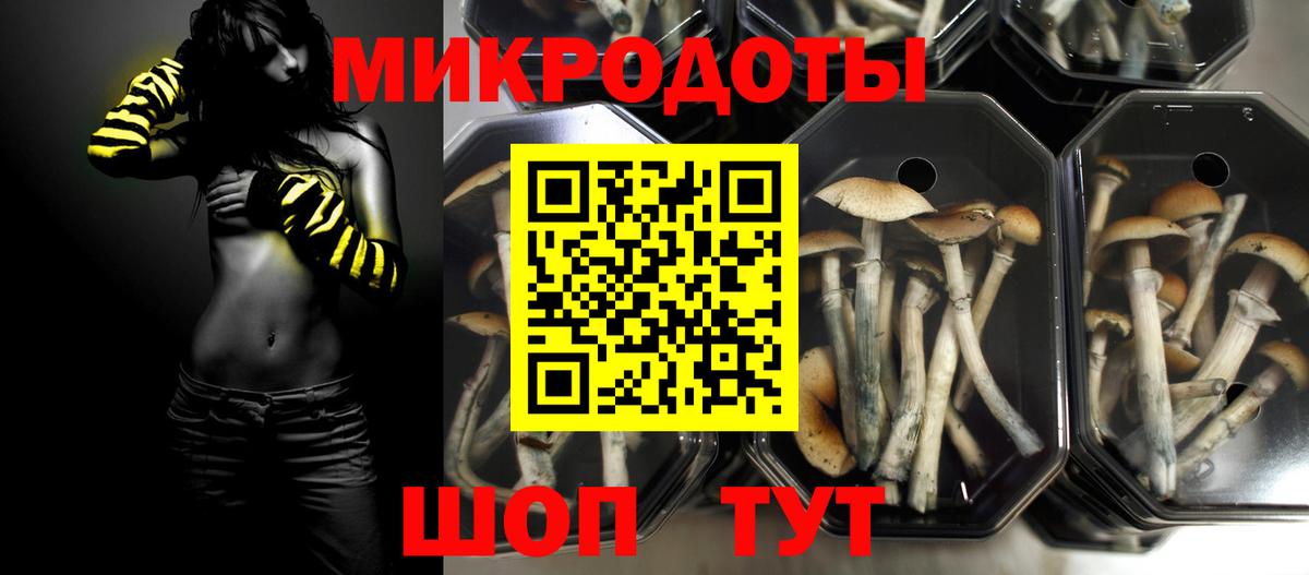 Сургут  Псилоцибиновые грибы Cubensis  Вход с VPN 